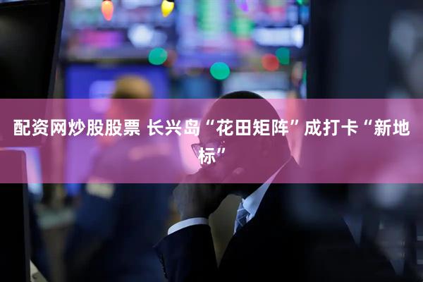 配资网炒股股票 长兴岛“花田矩阵”成打卡“新地标”
